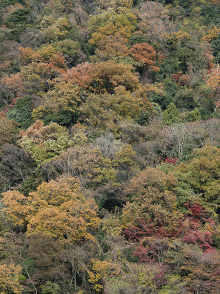 この辺りで視界が開けます。秋色の山々。