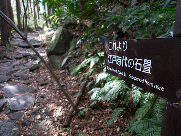 江戸時代の石畳が残る部分はきちんと案内があります。