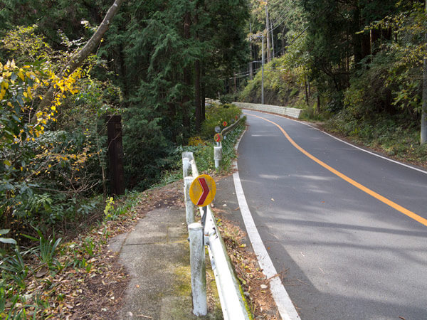 少し県道を歩いたらすぐまた森の中へ。