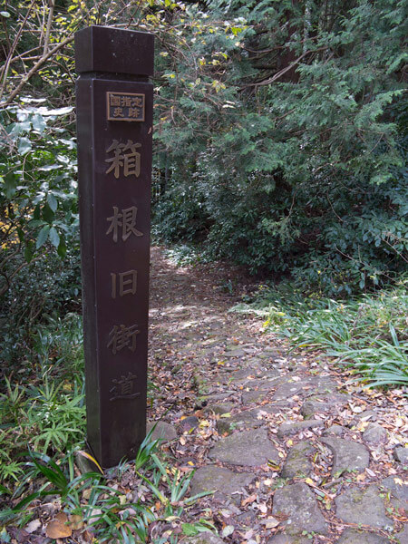 少し県道を歩いたらすぐまた森の中へ。