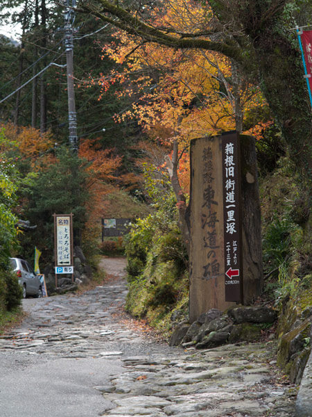 曲がるとすぐ箱根路東海道の碑があります。紅葉がきれい。近くに守源寺があります。