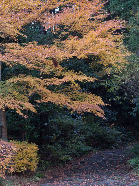 一里塚の背後、伸びていく石畳と紅葉。