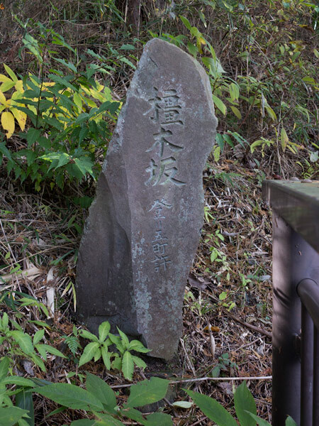 「橿木坂」の石碑。
