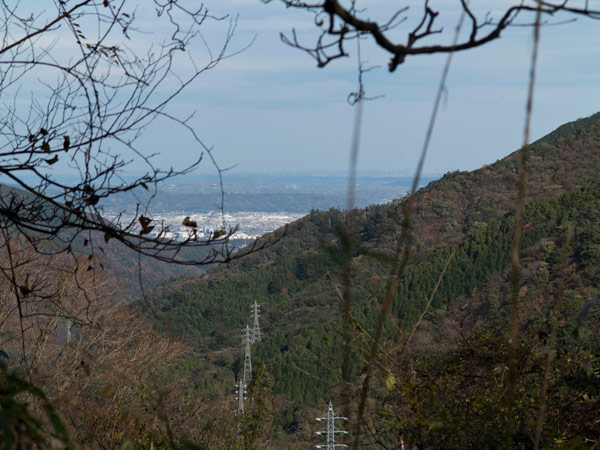 樹々の間から相模湾がみえます。