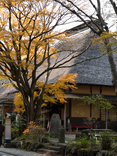 甘酒茶屋の前には見事な紅葉。
