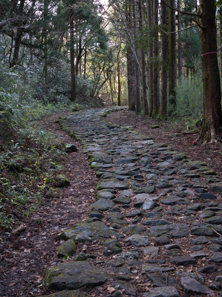 江戸時代の旅人を彷彿とさせる石畳の旧街道。
