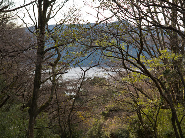 芦ノ湖がみえました。江戸からここまで24里程でしょうか。江戸時代の旅人なら感慨はもっと深かったでしょう。