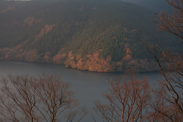 遠目にみると湖畔の紅葉が見事な朝靄の芦ノ湖。