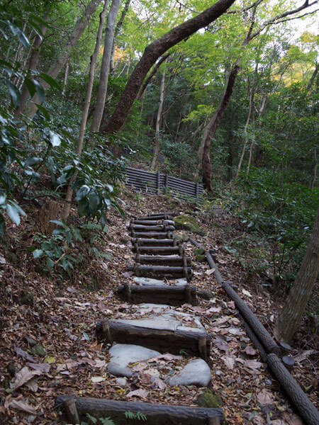 まずは早雲公園に向かいます。
