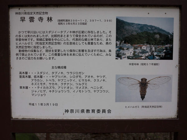 説明板はありがたいものです。現地の案内板で知ることというのは一味違います。