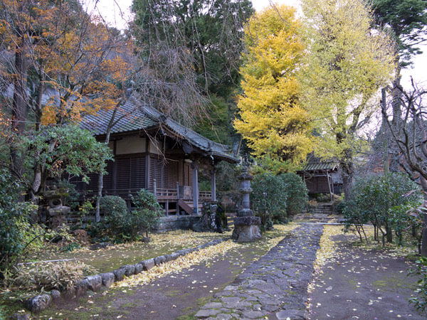 正眼寺の紅葉は曽我堂にあります。