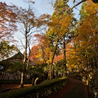 箱根、長安寺の紅葉。