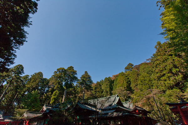 箱根神社の本殿。来る度に清々しい気分になります。