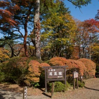 箱根、蓬莱園の紅葉。