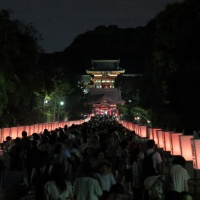 鶴岡八幡宮のぼんぼり祭り。