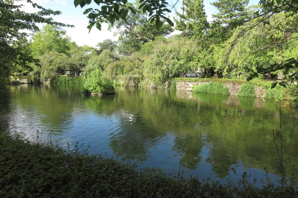 三嶋大社の神池(右側)。