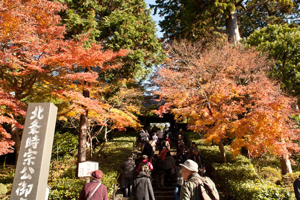 円覚寺の紅葉