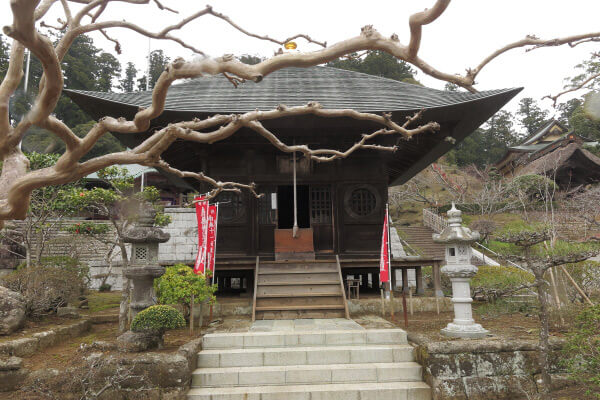 清澄寺、観音堂。見事な百日紅(サルスベリ)です。夏はさぞかし鮮やかでしょう。