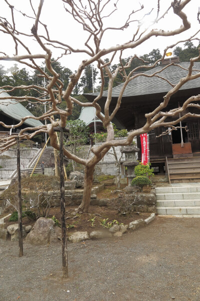 清澄寺、観音堂。安房国三十四か所霊場巡礼、第17番札所。