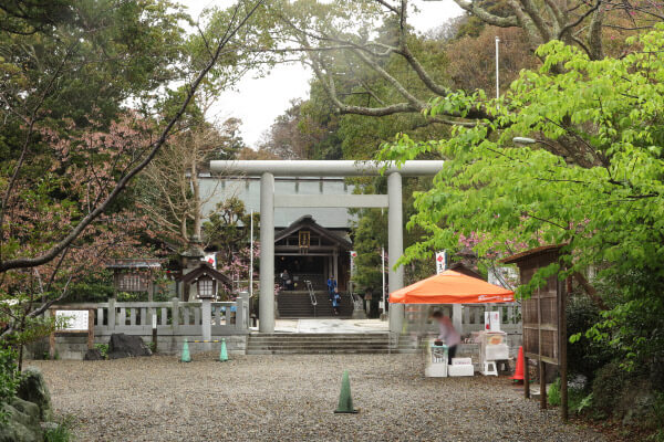 天津神明宮の三ノ鳥居と御正殿。境内は森々としています。