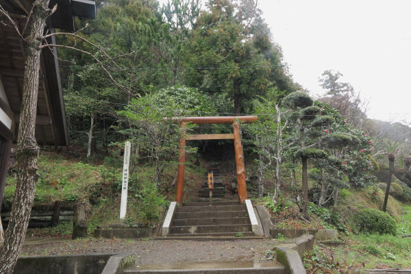 市の天然記念物にも指定されている神明神社の林。山頂にはなぎなみ様がいらっしゃいます。