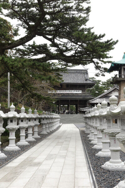総門を入ると美しい灯籠が並びます。日蓮生誕800年への用意でしょう。松が見事です。