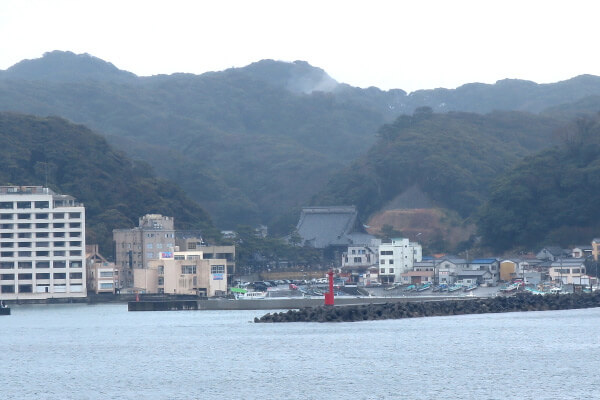 対岸からみる小湊。中央奥に誕生寺の祖師堂がみえます。