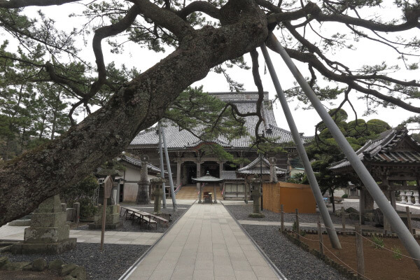 誕生寺、境内。