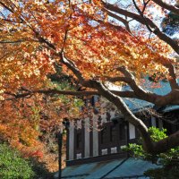 平成29年(2017年)12月10日(土)旧華頂宮邸の紅葉。