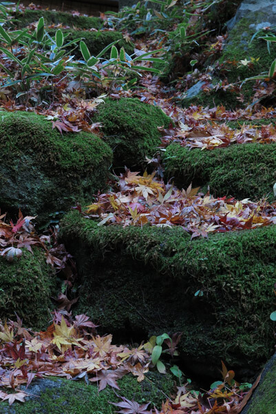 平成29年(2017年)12月10日(土)、一条恵観山荘の紅葉。
