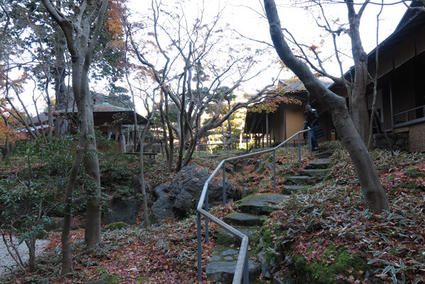 平成29年(2017年)12月10日(土)、一条恵観山荘の紅葉。