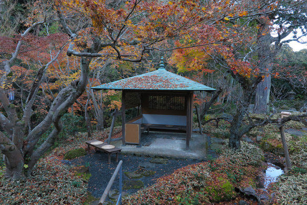 平成29年(2017年)12月10日(土)、一条恵観山荘の紅葉。
