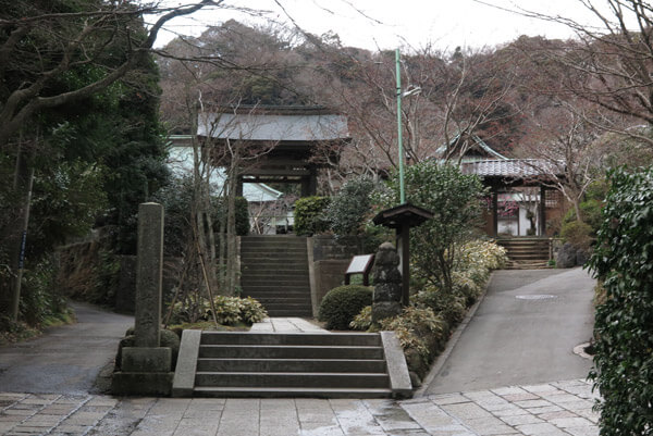 平成30年(2018年)2月8日(木)、海蔵寺の梅