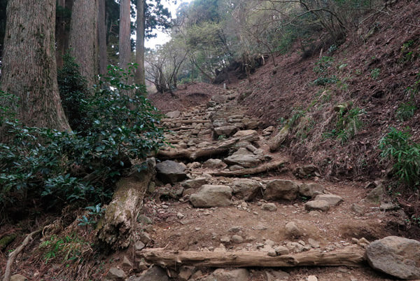 大山阿夫利神社本社への巡礼登山道。【大山阿夫利神社】