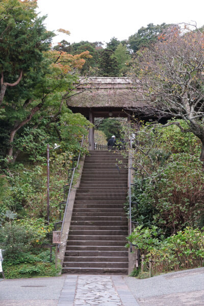 平成28年(2016年)10月29日、東慶寺の紅葉。