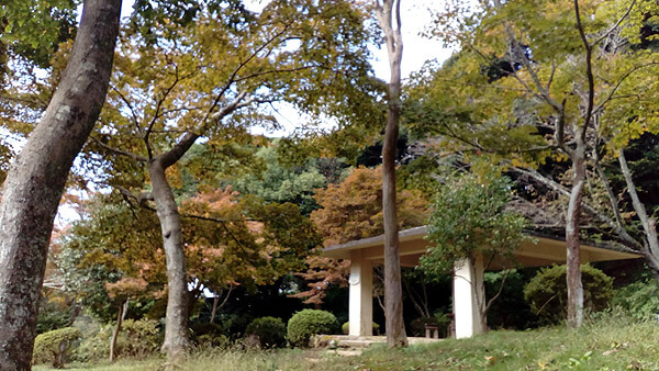 平成28年(2016年)10月29日、源氏山の紅葉。