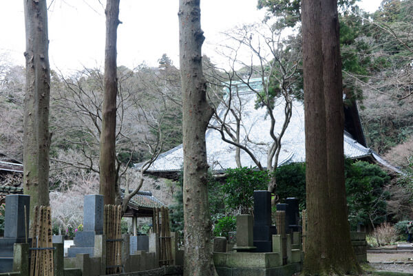 平成31年(2019年)2月12日の妙本寺