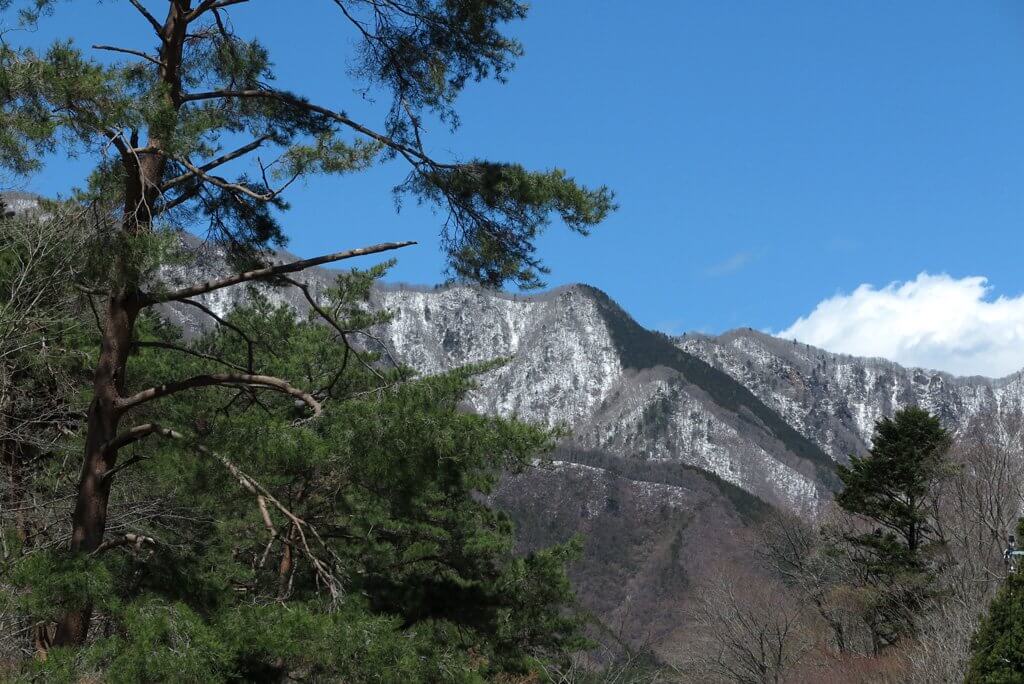 美しい道志山塊。