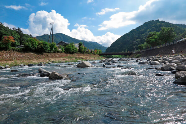 夏の道志川。