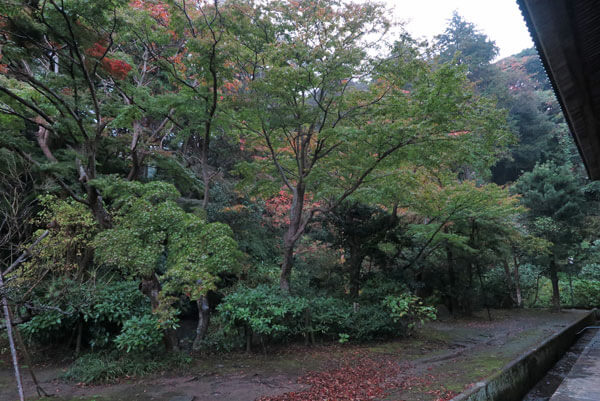 令和元年(2019年)11月27日、妙本寺の紅葉。