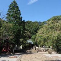 伊豆山神社、本殿。