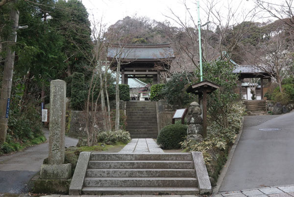 令和2年(2020年)2月6日、海蔵寺の梅。